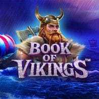 Book of Vikings screenshot